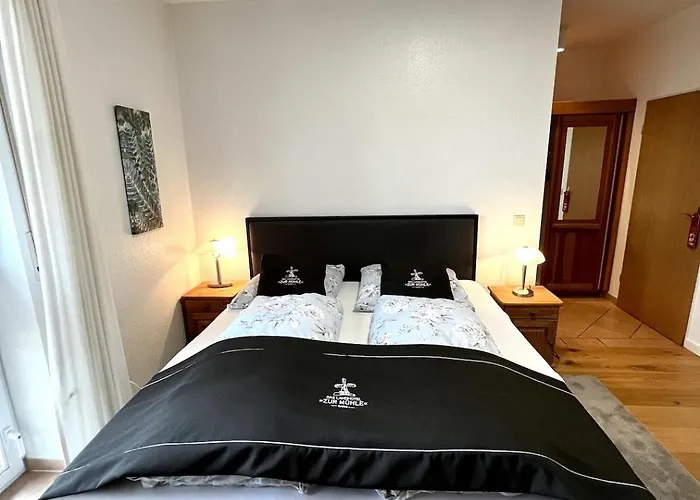 מלון Zur Muehle 3*